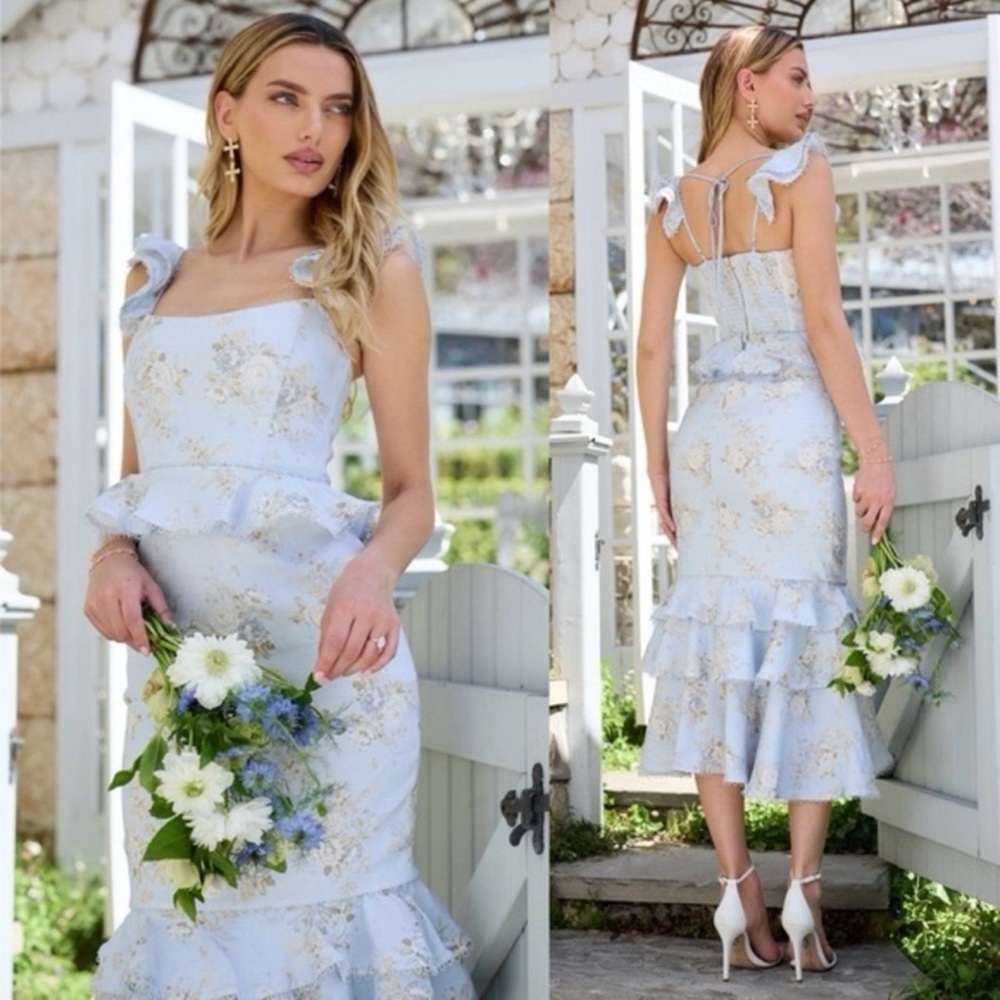 V. Chapman Victoria Dress Blue Rose- Sz 4. NWT
